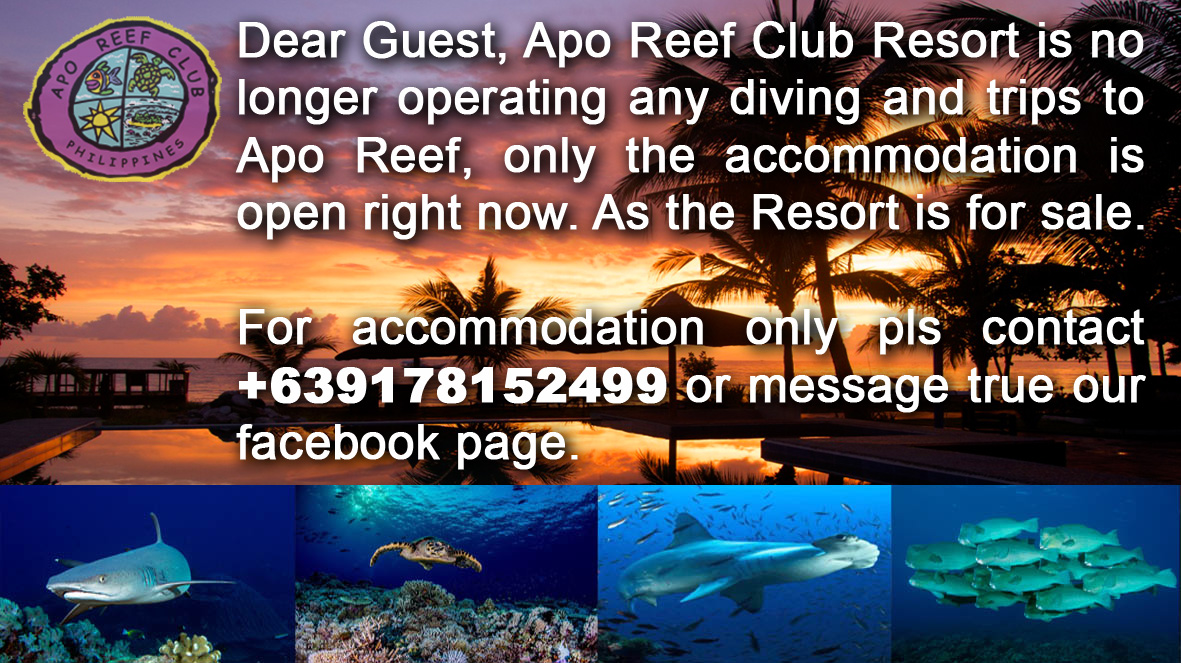 Apo Reef Club Mindoro Philippines